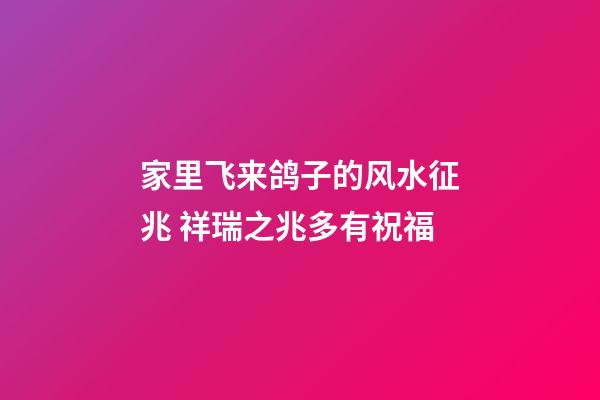 家里飞来鸽子的风水征兆 祥瑞之兆多有祝福